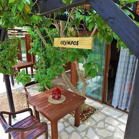Koala Bungalows Olympos Exterior photo