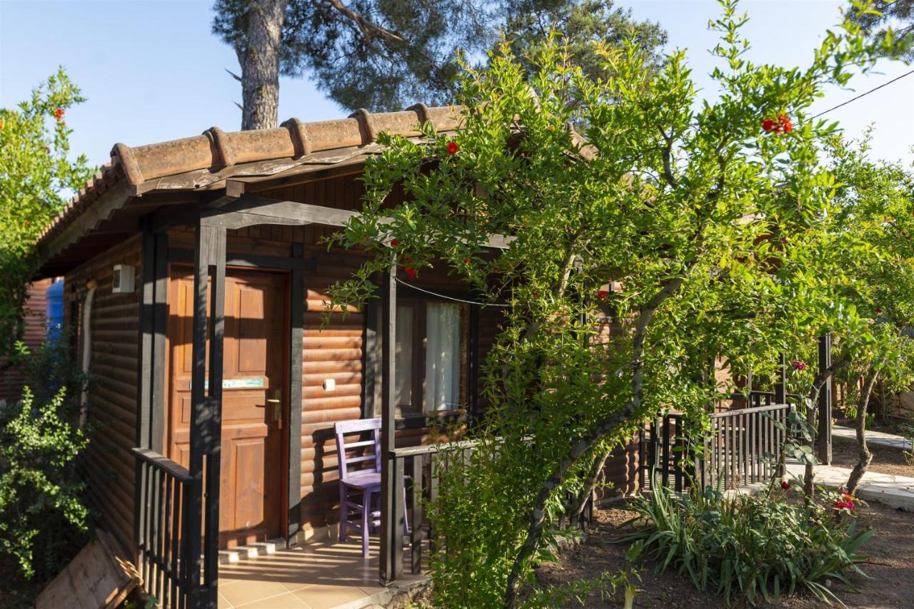 Koala Bungalows Olympos Exterior photo