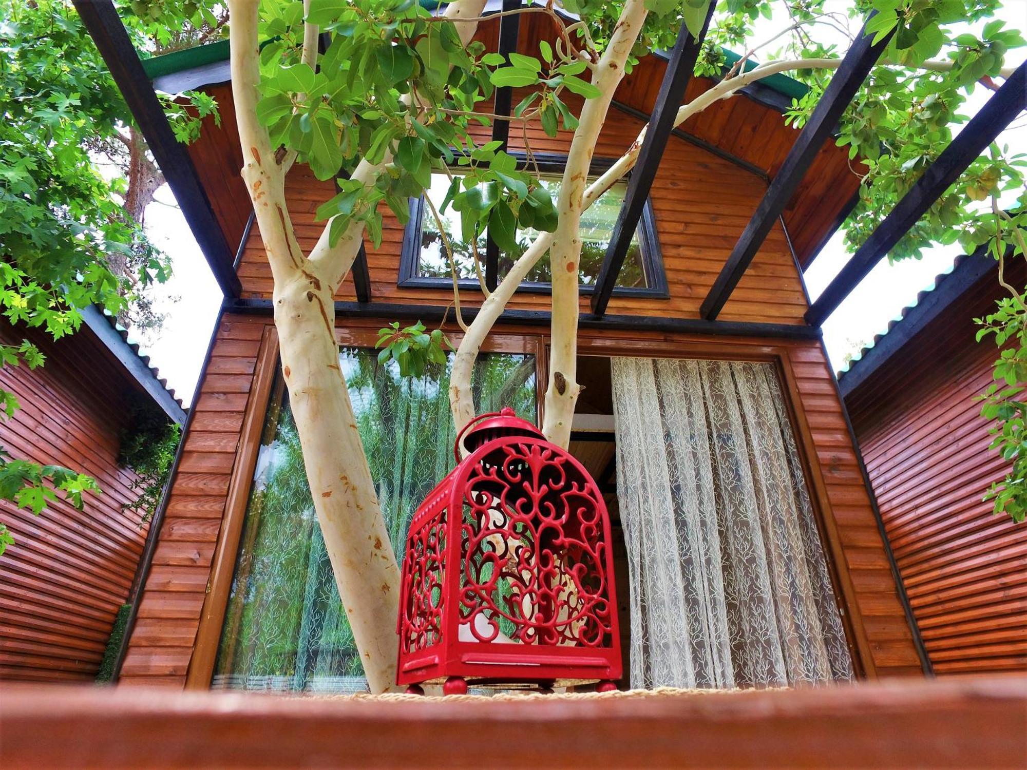 Koala Bungalows Olympos Exterior photo