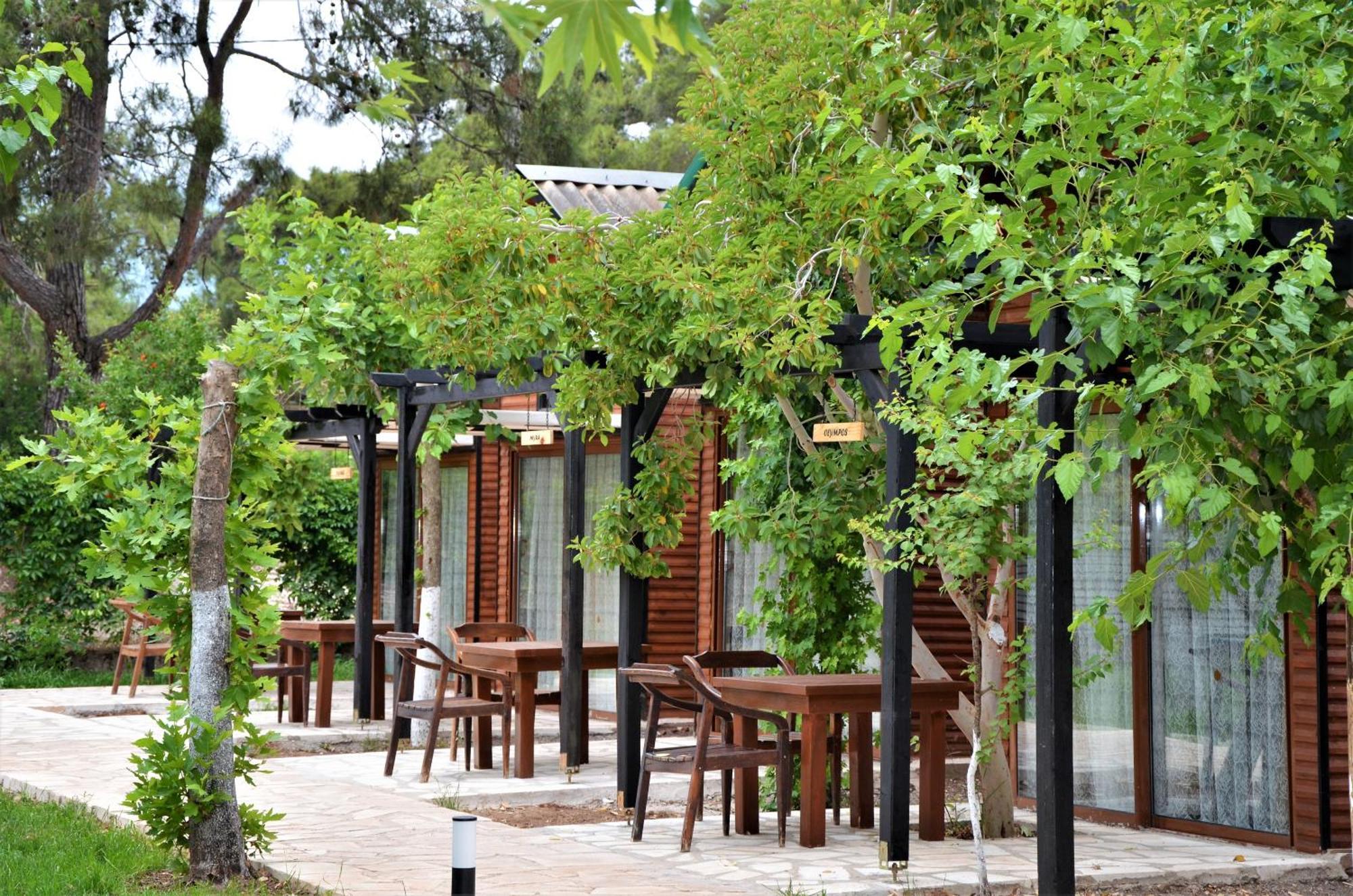 Koala Bungalows Olympos Exterior photo